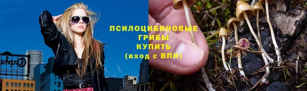 бошки Алексеевка