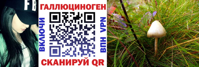 Галлюциногенные грибы MAGIC MUSHROOMS  площадка официальный сайт  Мышкин 